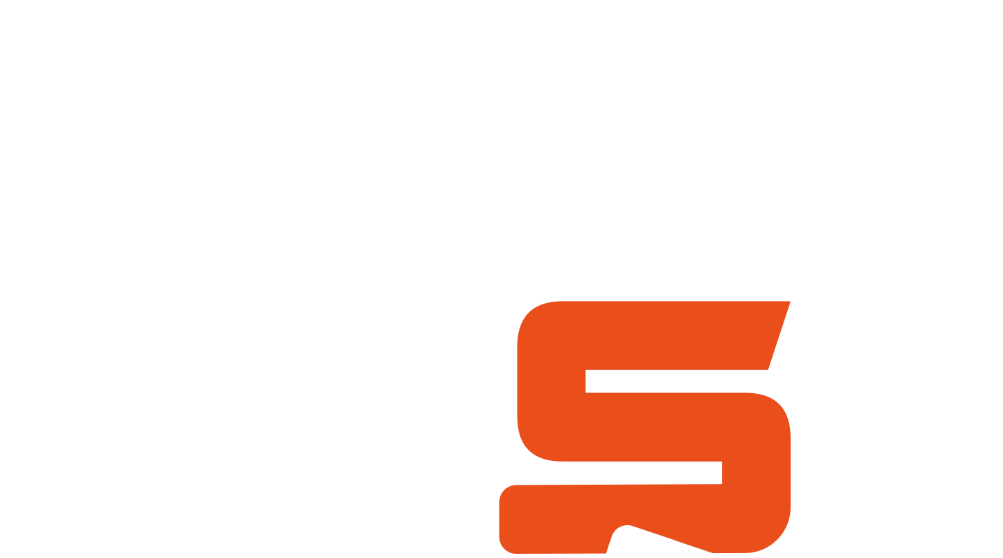Danny Sky Logo